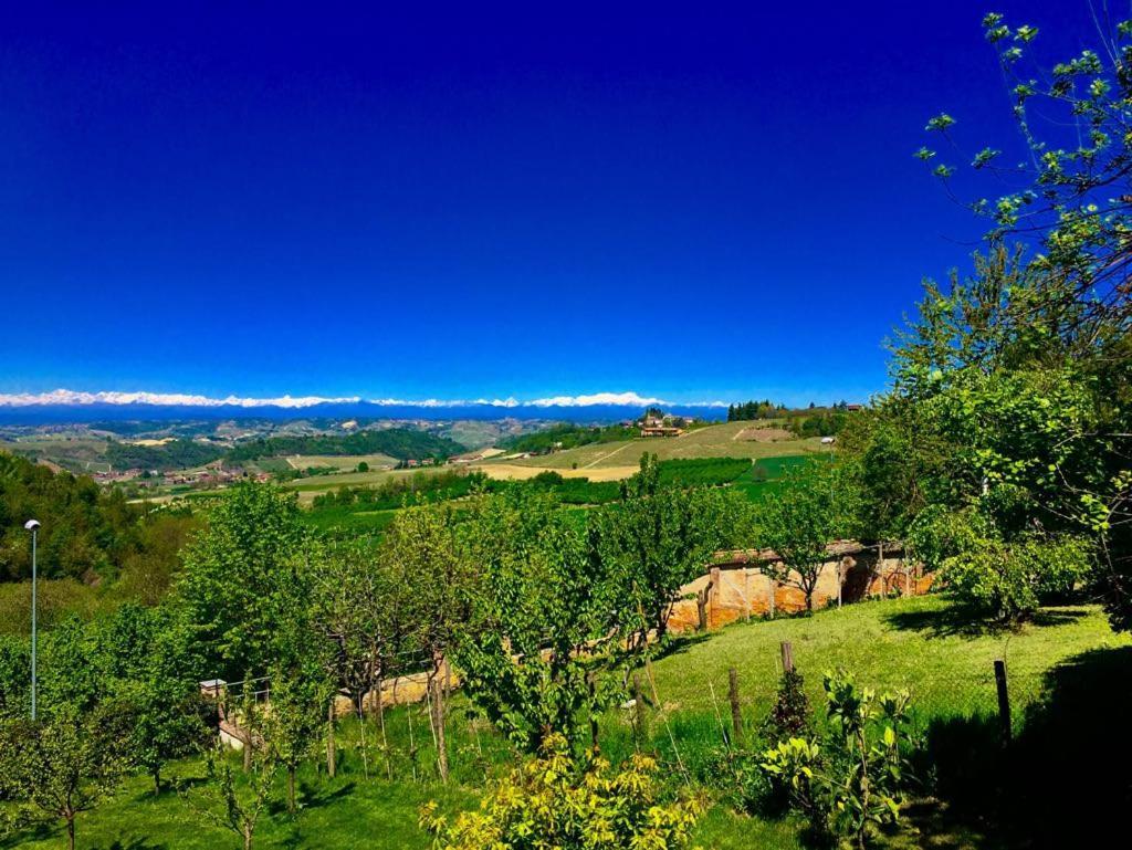Bed and Breakfast Cascina Cortine à Guarene Extérieur photo